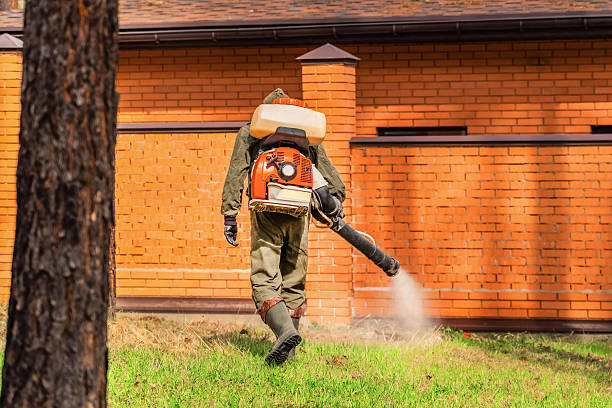 Bed Bug Clearance Verification and Documentation in Pine Lakes